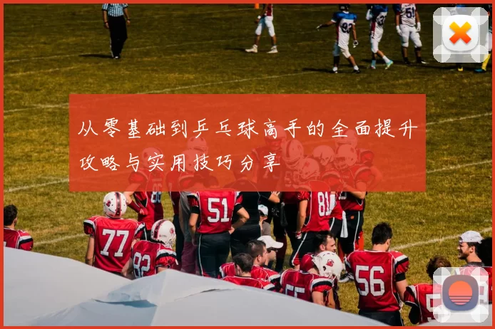 从零基础到乒乓球高手的全面提升攻略与实用技巧分享